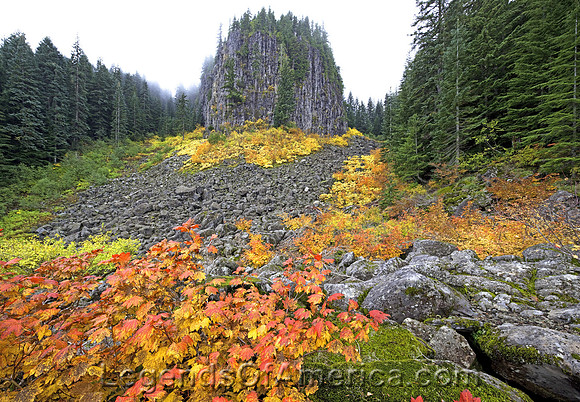 Table Rock Wildnerness Area, OR - Landscape - 2