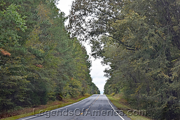 Sumter National Forest, SC - Road