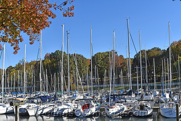 Grand Rivers, KY -Lighthouse Landing - 2