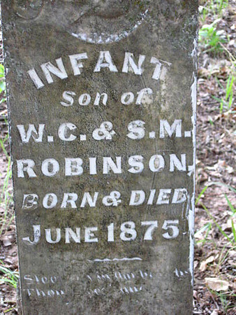 Robinson Infant Son (1875)