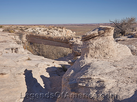 Petrified Forest National Park, AZ - Agate Bridge