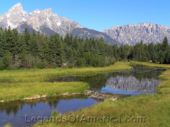 Grand Tetons, WY - Schwabachers Landing Beaver Dam