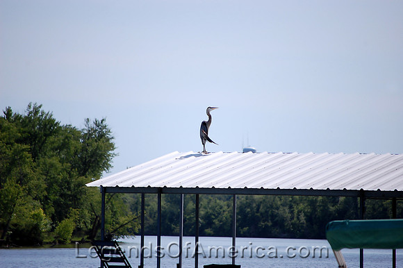 Lake of the Ozarks, MO - Summer Sun