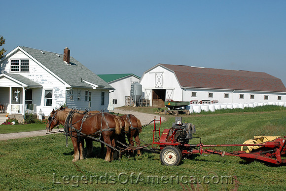 Winesburg, OH - Amish Farm