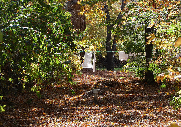 Funks Grove, IL - Laundry