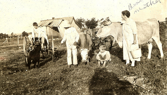 Mattie Foster And Boys