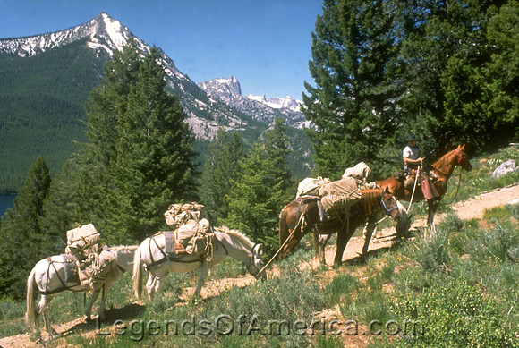 Oregon Pack Train