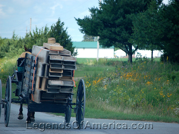 Lanesboro, MN - Amish Men