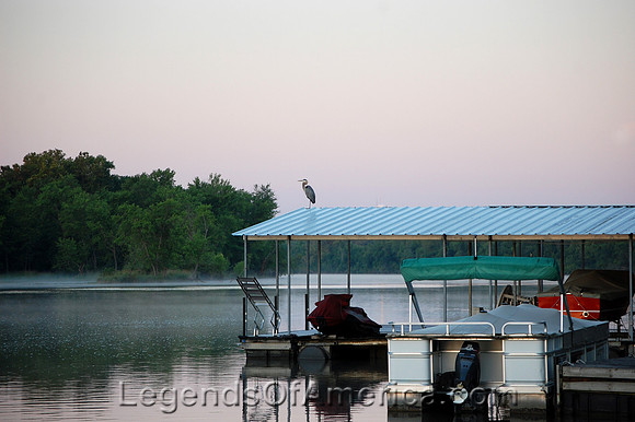 Lake of the Ozarks - June Morning with Heron