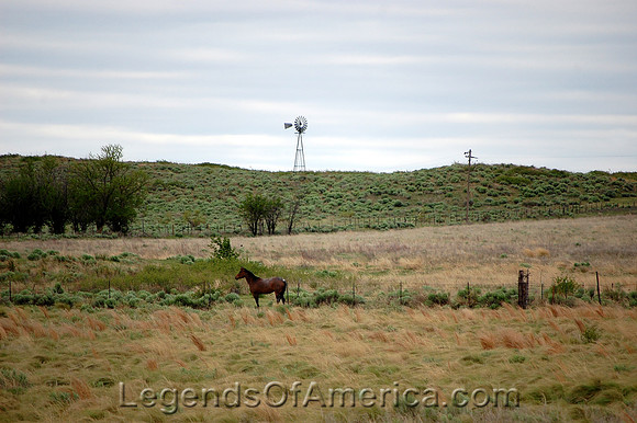 McLean, Tx - Horse and Windmill