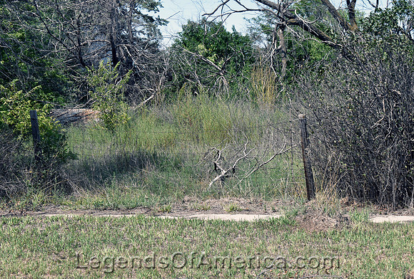 Densmore, KS - Sidewalk