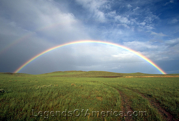 Montana Rainbow