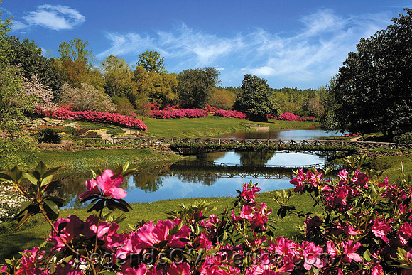Theodore, AL - Bellingrath Gardens