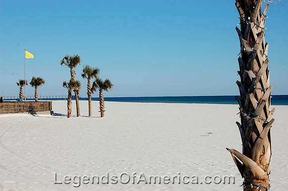Orange Beach, AL - Trees