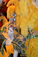 Mardi Gras