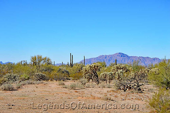 TucsonLandscapeNorth_fb