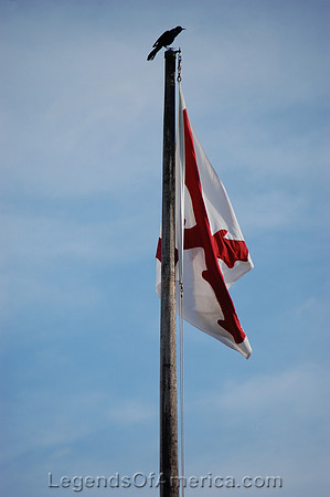 St. Augustine, FL - Castillo de San Marcos Flag Pole With Bird