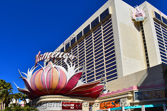 Las Vegas, NV - Flamingo