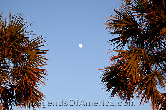 Keaton Beach, FL - Moon
