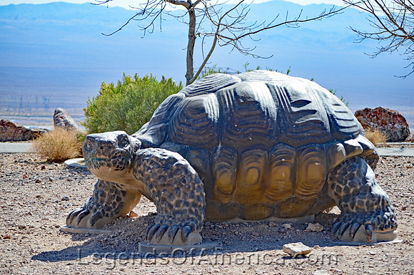 Boulder City, NV - Bootleg Canyon Park - Turtle