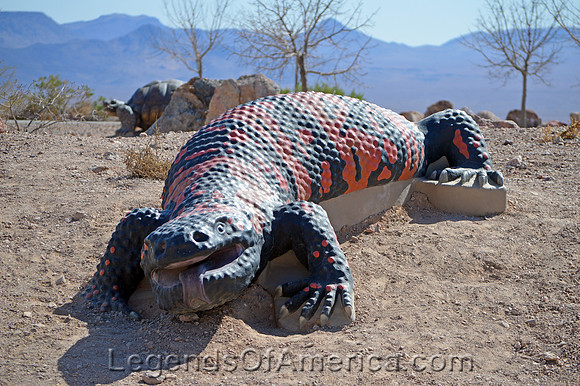 Boulder City, NV - Bootleg Canyon Park - Gila Monster