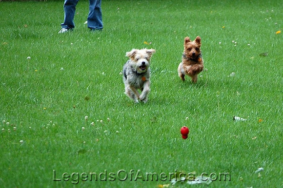 RileyKaydeeBall