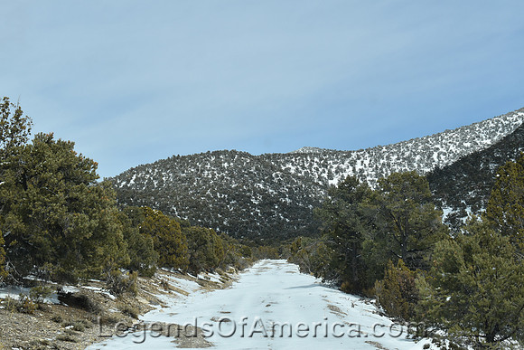 Bristol Wells, NV - Road