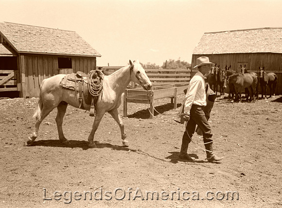 Spur, TX - Cowboy leading horse, 1939