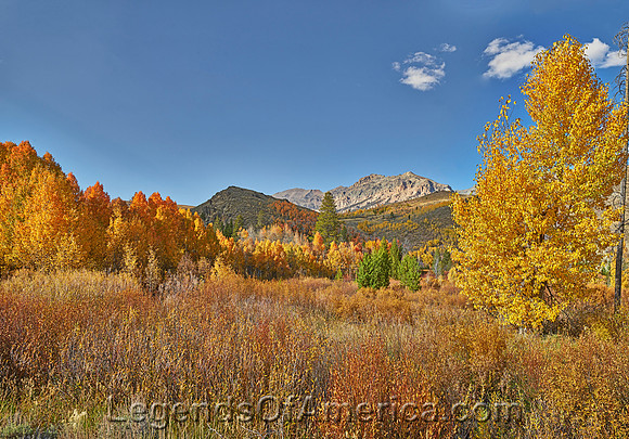 Twin Falls, ID - Fall Scene