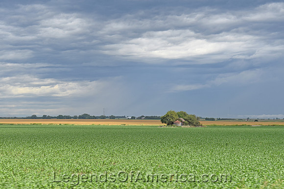 Pawnee County, KS - Landscape - 2