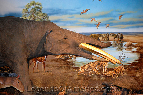 Canyon, TX - Panhandle Plains Museum Display