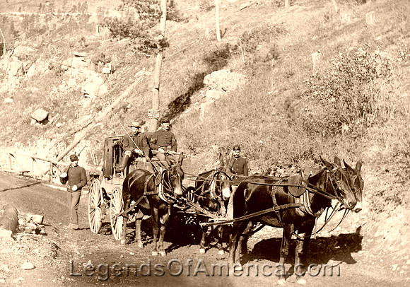 US Paymaster Stage pulled by mules
