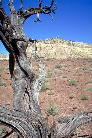 LandscapeNearPriceUT-blm