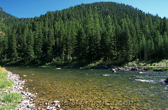 Blackfoot River, MT