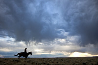More Southeast Wyoming