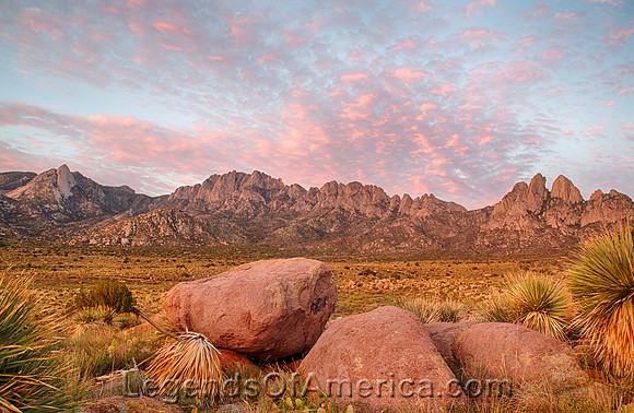Organ Mountains Wilderness, NM