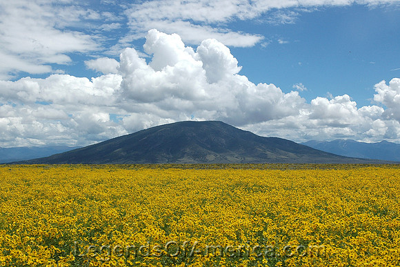 Taos County, NM - Rio Grande del Norte National Monument