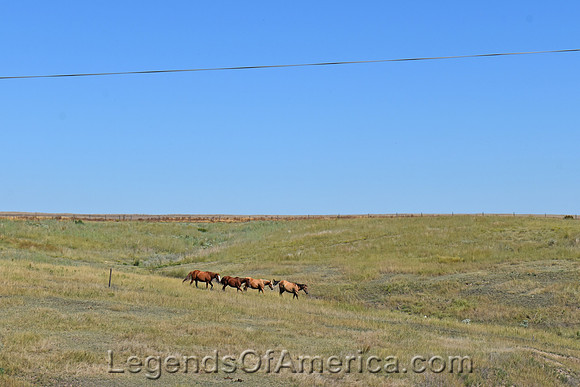 Decatur County, KS - Landscape - 2