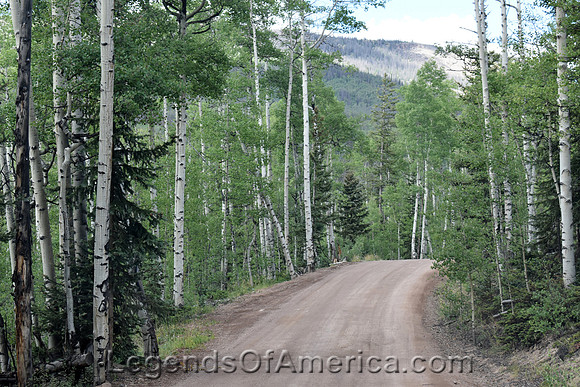 Creede, CO - Bachelor Loop Nelson MountainRoad