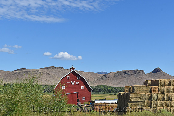 Del Norte, CO - Area Landscape - 2