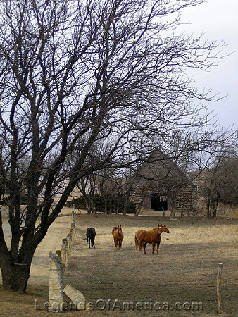 Brookville, KS - Horses