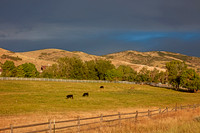 Heber City, UT - Cow Pasture