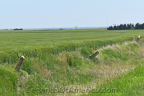 Dorrance, KS - Area Landscape