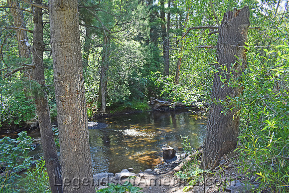 Cimarron Canyon, NM - Cimarron River
