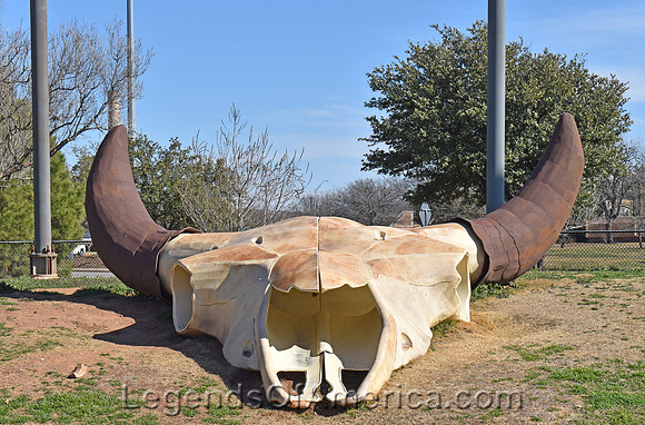 Abilene, TX - Frontier Texas Large Bull Skull