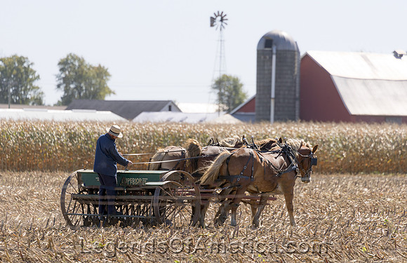 Emma, IN - Amish Farmer