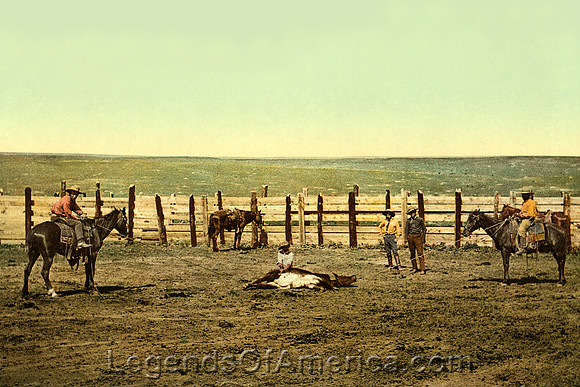 Roping the steer, around 1900
