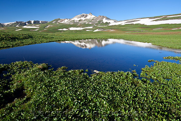 Uncompahgre Wilderness Area, CO - 2