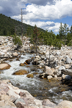 Rocky Mountain National Park, CO - Mountain Stream