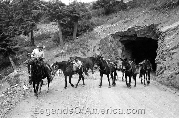 Ouray, CO - Moving Camp, 1940